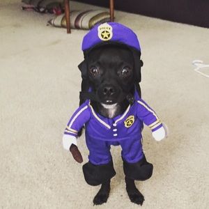 Meet your Posher, Casey